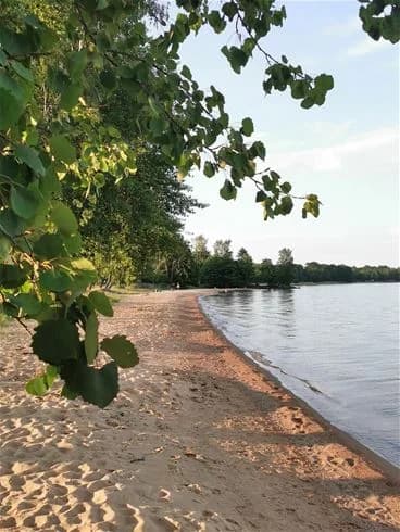 Bild av Breviks Camping & Ställplats med en naturlig miljö. Visa en kustlinje med vattenresurser, inklusive en strand i förgrunden och en vattenkropp i bakgrunden, omgiven av grönska.