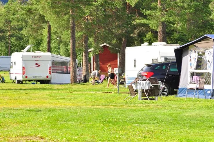En grönskande campingplats med tält och husvagnar på ett soligt fält, omgiven av träd som ger skugga. Perfekt för rekreation och semester vid Camp Viking.