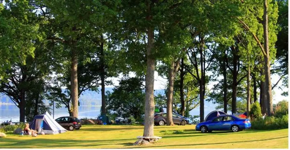 En grönskande campingplats vid en sjö, där tält och husvagnar står uppställda på gräsmattan under skuggande träd. Besökare njuter av en avkopplande semester i natursköna omgivningar.