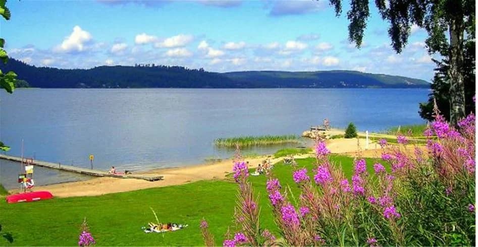 Vy över Skotteksgården Camping & Stugby med en blå sjö i förgrunden och lummiga träd längs stranden. Sommarsolen skiner över det natursköna landskapet.