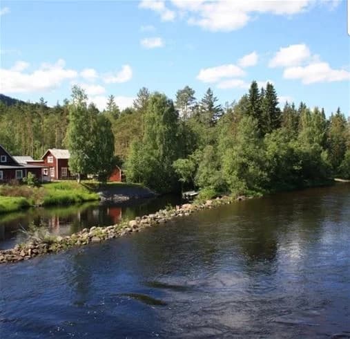 Bild av Ammeråns fiskecamp som visar en bred flod med klart vatten omgivet av grönskande träd och växtlighet. En stilla naturmiljö med flodbanker, perfekt för fiske och avkoppling.