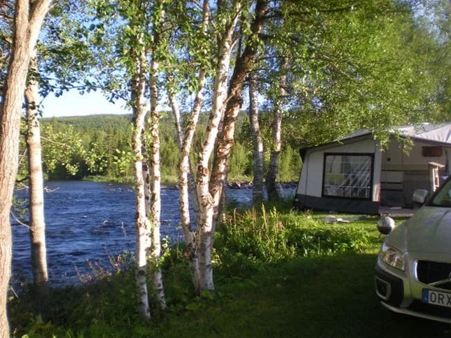 En grönskande vårdag vid Ristafallets camping med björkträd i bakgrunden.