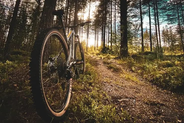Åsarna Skicenter: Upplev äventyr, avkoppling och natur året om i idyllisk camping- och friluftsmiljö vid Ljungan.