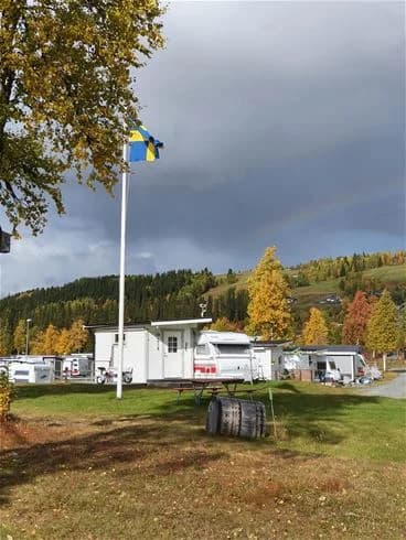 En campingplats med flera husbilar och husvagnar uppställda på en gräsbevuxen yta omgiven av barrträd. Det finns en husbil, en lastbil och diverse campingutrustning synliga i bilden.
