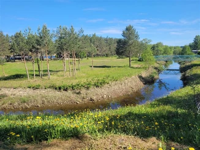 En naturskön vy vid Älvkarleby fiskecamping med grönskande träd och buskar intill en lugn ström omgiven av gräsfält.