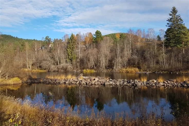 En lugn flod med klart vatten rinner genom en frodig grönskande skog vid Ammeråns fiskecamp. Träden står tätt längs med vattendragen och reflekteras i vattenytan. Naturlandskapet är fridfullt och orört, med rik vegetation runt om.