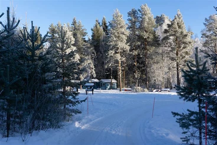 En vinterbild av Ammeråns fiskecamp, täckt av snö med gran- och larvträd som sträcker sig i bakgrunden. Det är en kall och fridfull miljö med snötäckta grenar och en sluttning i fjärran.