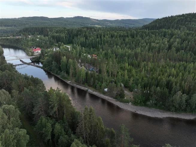En lugn flod omgiven av frodig grönska och träd vid Ammeråns fiskecamp, med vattnet som speglar den omgivande naturen.