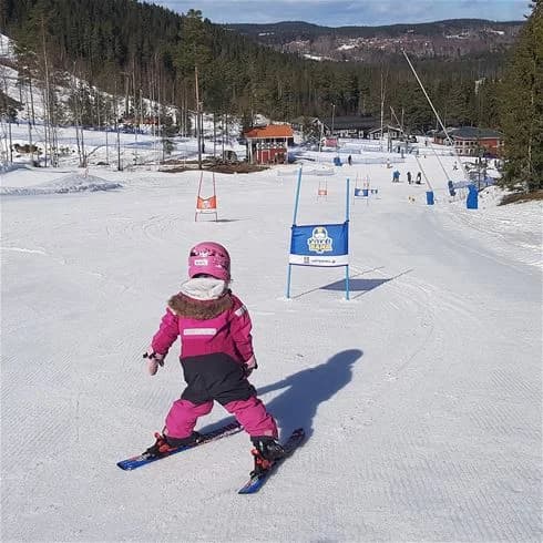 En vinteridyll vid Bjursås Berg & Sjö med människor som åker skidor i snöklädda backar och njuter av vintersport och friluftsliv.