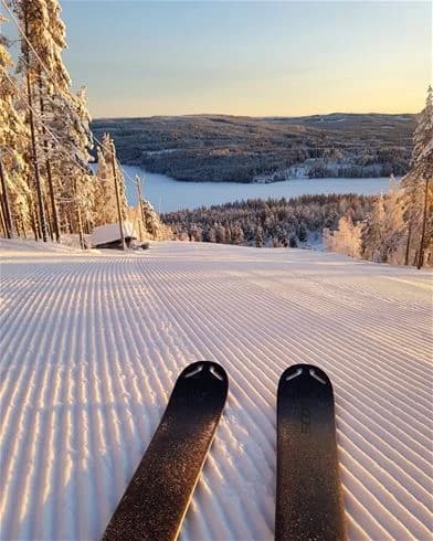 Bjursås berg & sjö: En naturnära oas i Dalarna för äventyr och avkoppling, året runt. Perfekt för familjer och naturälskare!