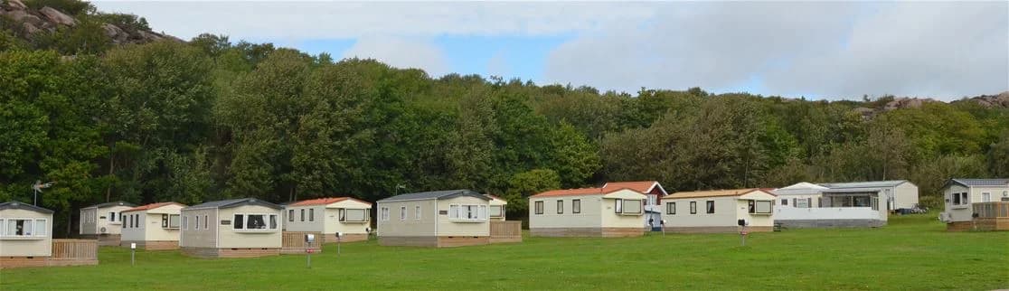 En gräsbevuxen campingplats med uppställda tält och husvagnar, omgiven av lummiga träd.