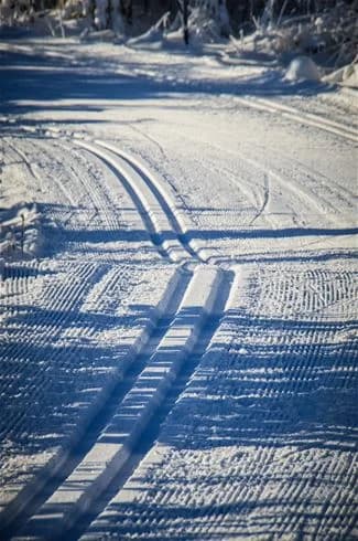 En vinterdag på Mösseberg Camping med snötäckta marker och solsken som kastar långa skuggor över en sluttning. Frostiga träd omger stigar som leder genom skogen.
