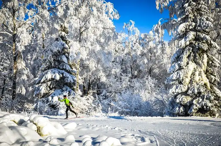 En snöklädd campingplats vid Mösseberg, med trädgrenar täckta av frost och snö, som skapar en vintrig och äventyrlig atmosfär.