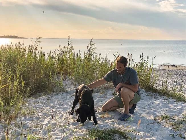 En hund leker på en strand nära havet vid Gröndals camping & stugor, med människor i bakgrunden som njuter av en dag vid kusten.