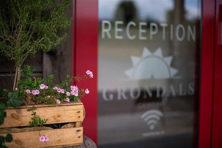 En campingstuga interiör med rena sängkläder och en grön krukväxt på ett bord.