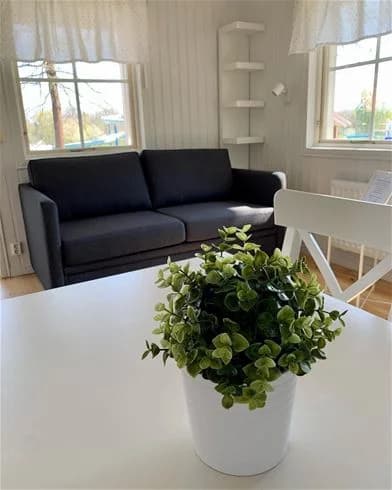 Ett interiörfoto från Skantzö Bad & Camping som visar ett vardagsrum med trägolv, träinredning och en blomsteruppsättning i en kruka.