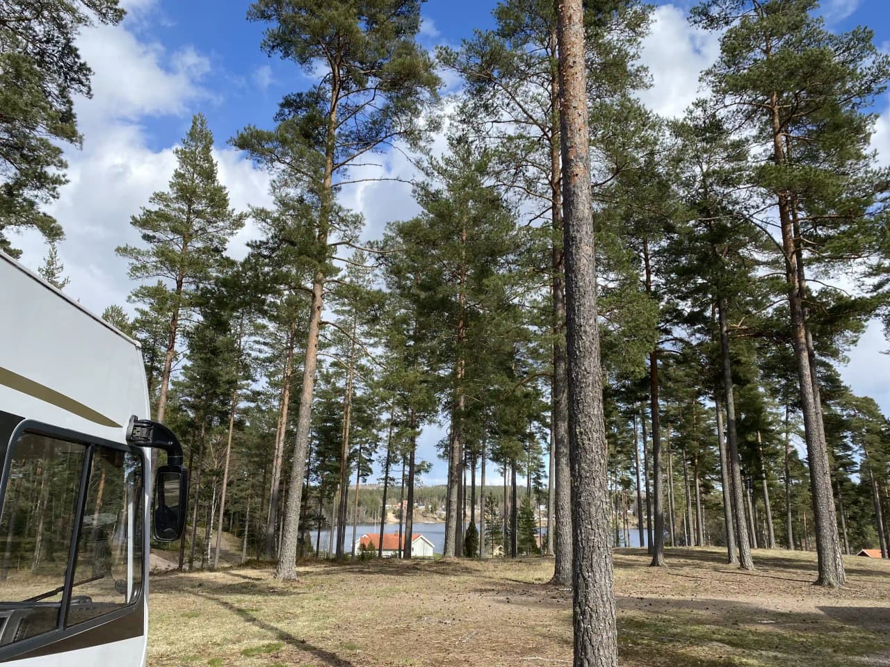 En öppen äng med skuggande träd i utkanten, omgiven av skog med olika trädsorter som lärk. Klarblå himmel ovanför skapar en avkopplande och naturnära stämning vid Nyhemsgården.