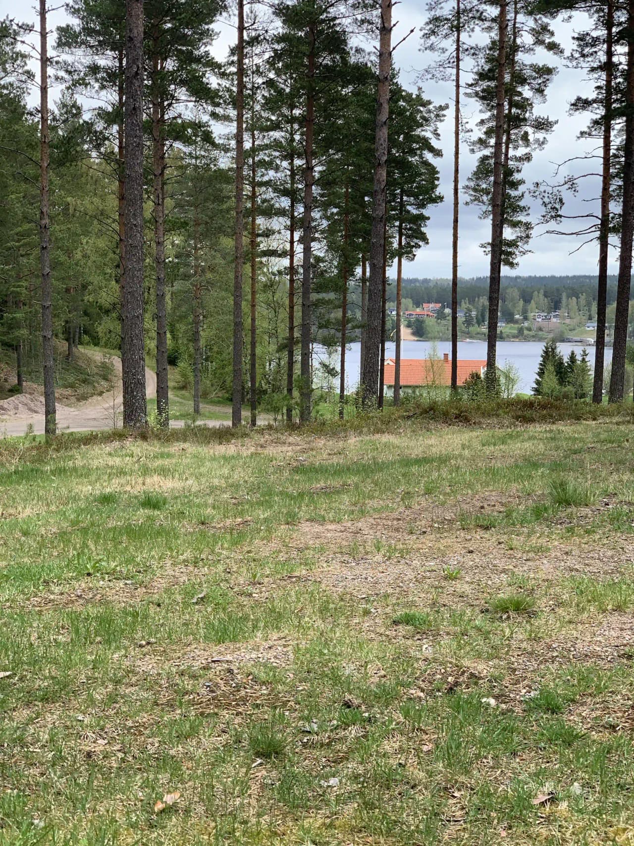 En grönskande landskapsbild med frodig gräsmatta, träd och buskar vid Nyhemsgården, omgiven av öppet grönområde.