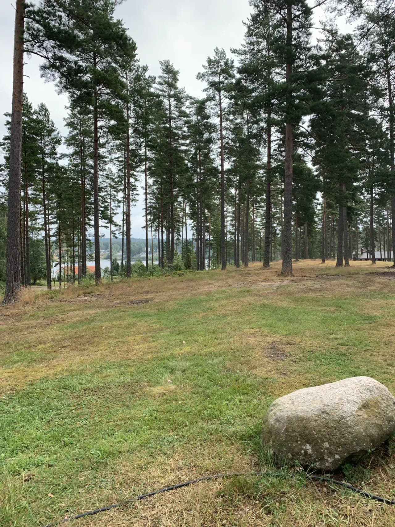 En gräskulle omgiven av träd och skog i ett naturskönt landskap vid Nyhemsgården.