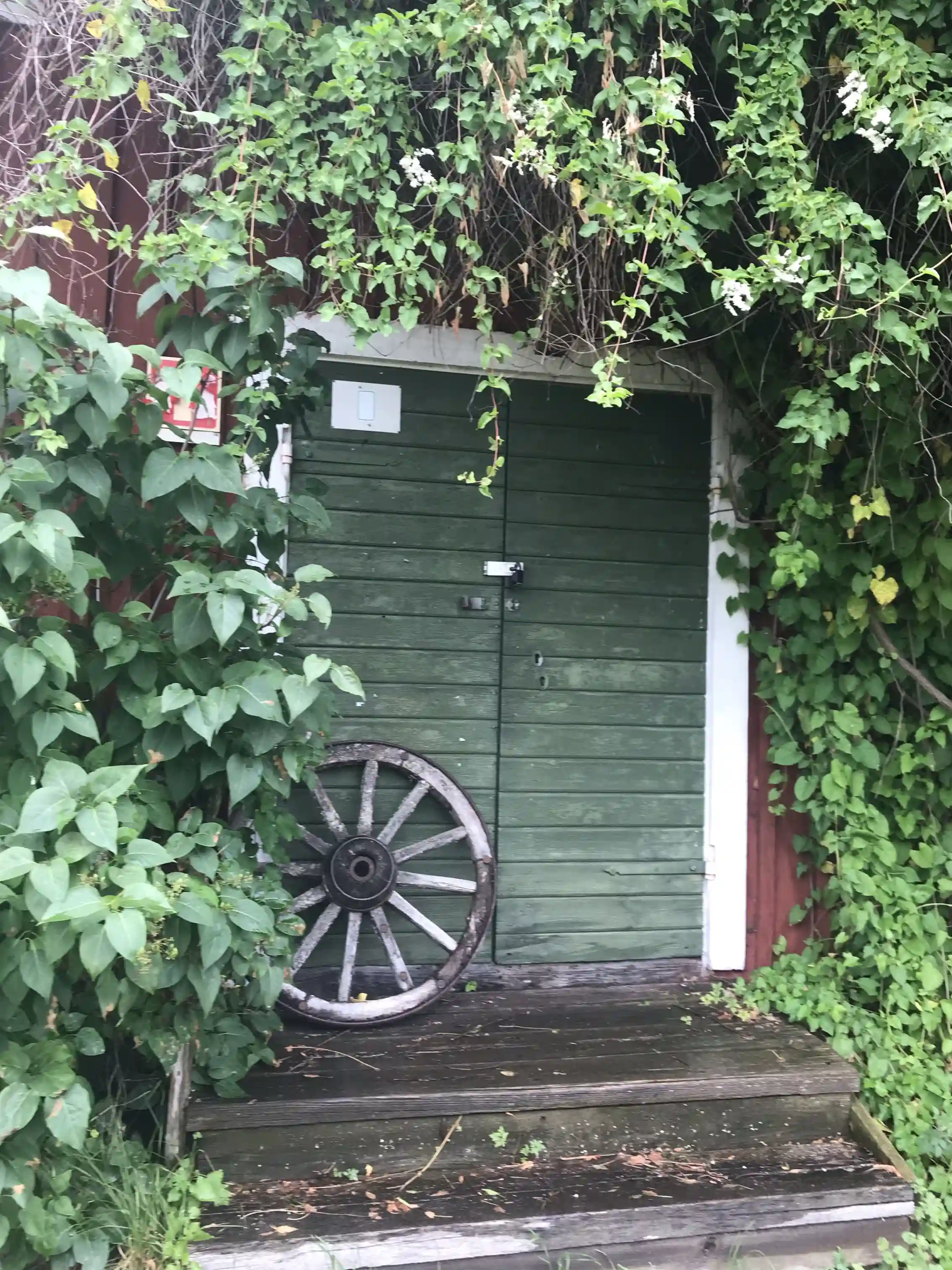 En grönskande campingplats med ett trähus omgiven av lummiga växter och en välskött trädgård. En grön dörr leder in i byggnaden, som ramas in av slingrande vinrankor och en grönskande omgivning, typisk för Tyrislöt camping.