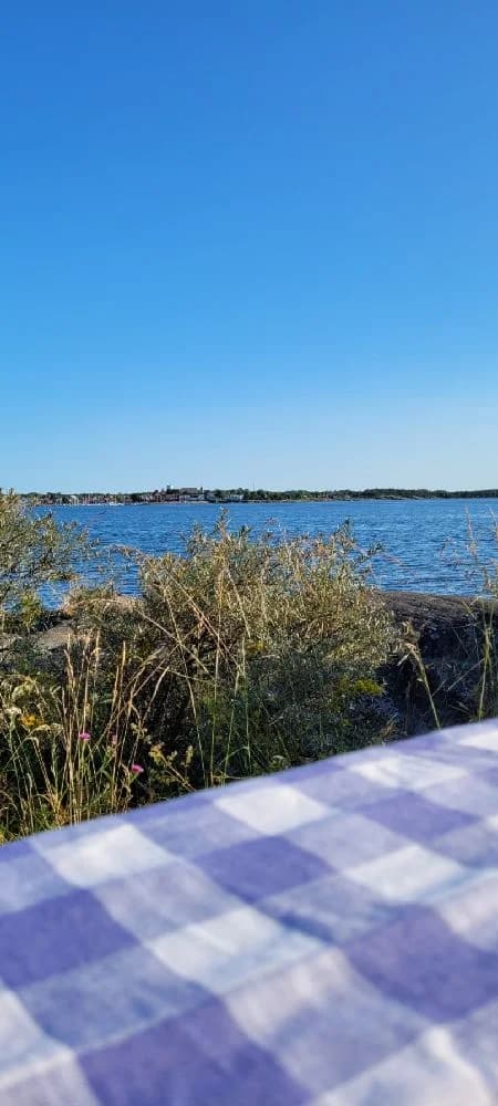 En bild av Gräsöbadens familjecamping, med utsikt över en blå sjö och kustlinje. Sandiga stränder omges av grönska i en naturskön miljö.