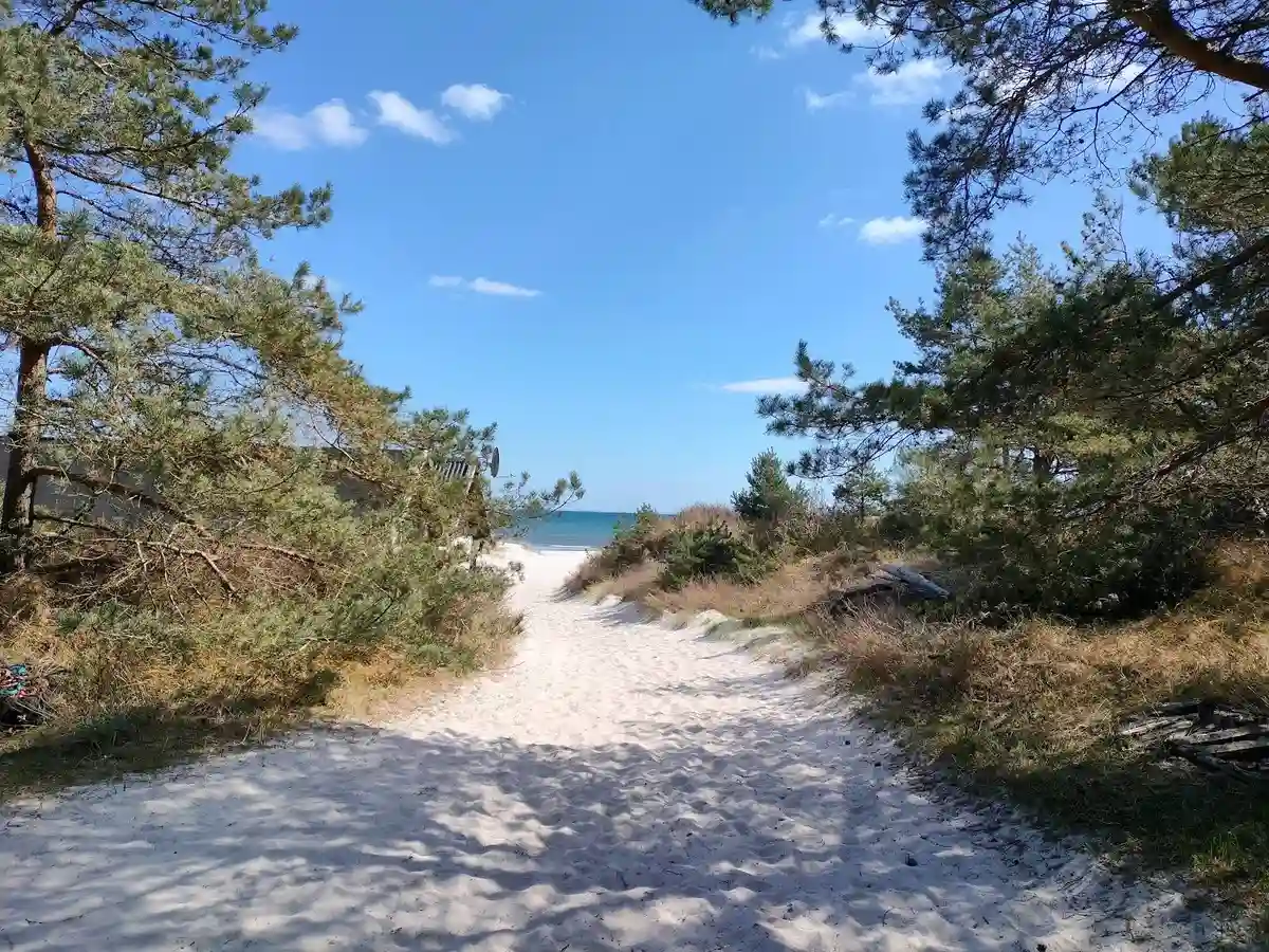 Vy av Borrbystrand Camping med kustlinje och strand. Sandstranden sträcker sig längs kusten, med havet i bakgrunden. Området omges av tropiska inslag och barrträd, vilket skapar en pittoresk naturscen.