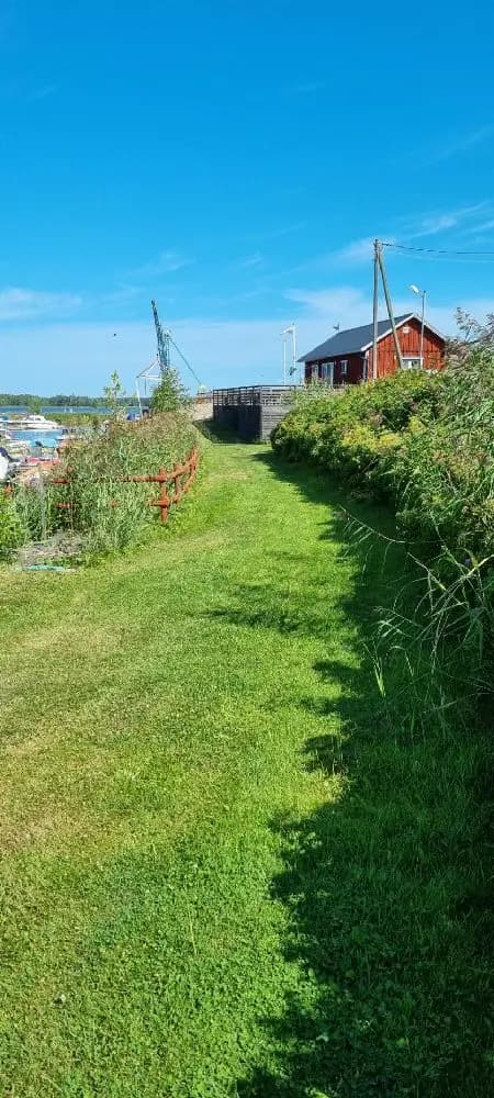 En grön och frodig campingplats vid Hargshamns camping med gräs och buskar omgivna av ett blått himlavalv.