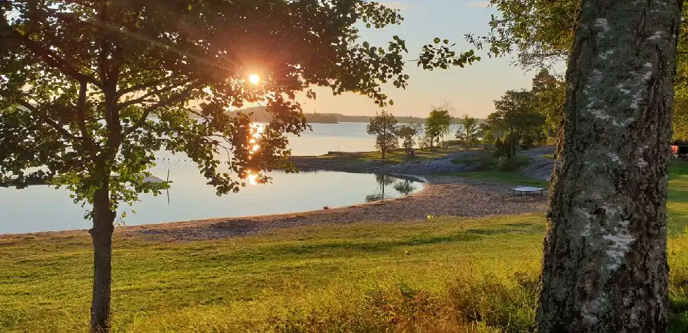 En stilla sjö omgiven av frodig grönska, med en gräsyta i förgrunden och en klar horisont i bakgrunden, på Hargshamns camping.