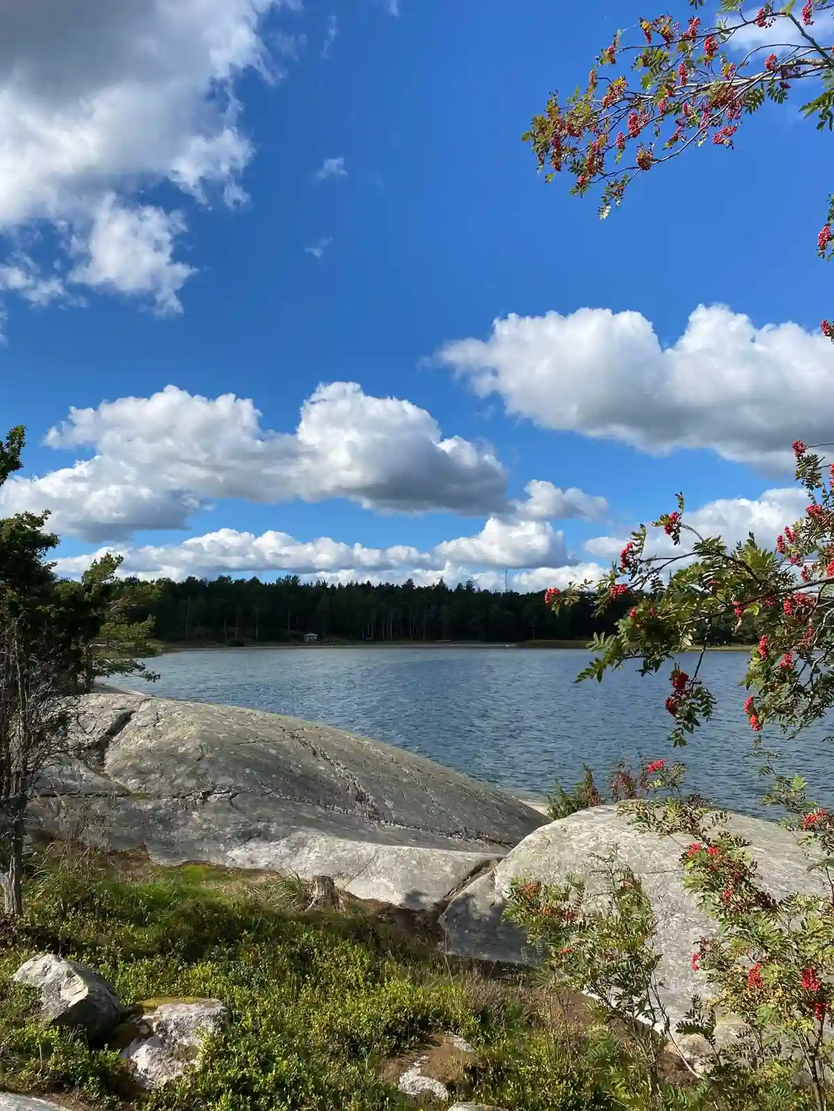 En blå himmel med vita cumulusmoln speglar sig i det lugna vattnet vid Gålö havsbad. Stranden är omgiven av vild natur och skog.