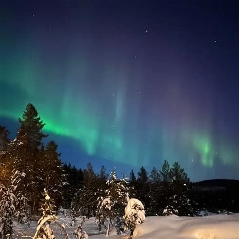 En vinternatt vid Storforsens camping, där norrskenet dansar över en snötäckt skog av gran och tallar. Himlen är mörk med stjärnor och snön glittrar i det kalla ljuset.