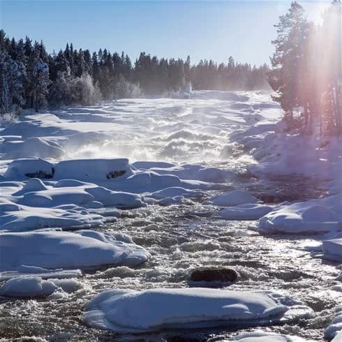 En vinterbild av Storforsens camping med snöklädda träd och mark, mot en klar himmel.