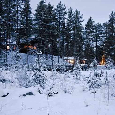 En vintrig campingplats i Storforsen med snötäckta stugor omgivna av frostiga gran- och lärkträd.
