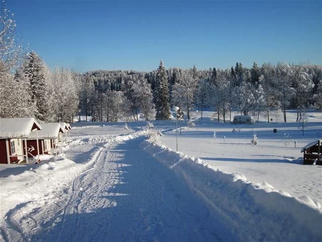 Vinterlandskap vid Ristafallets camping med snötäckta träd och ett geologiskt fenomen i bakgrunden.
