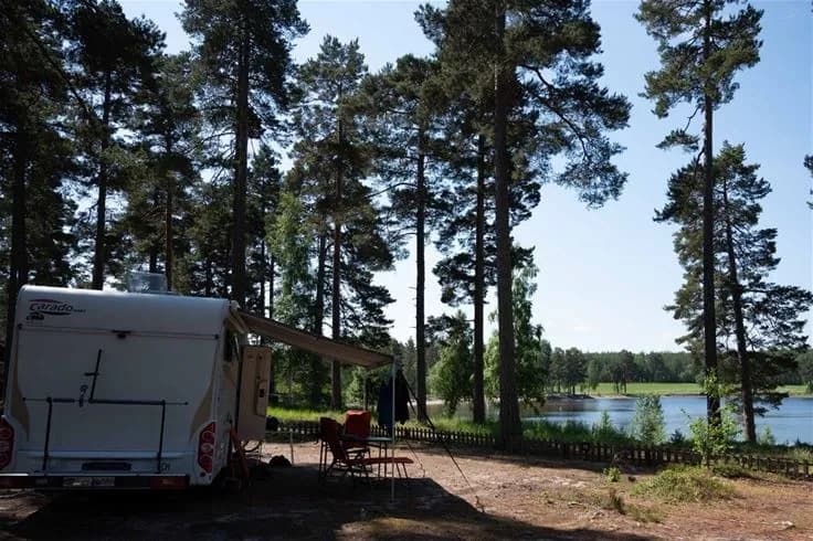 En skogsdunge med höga träd och grönska som skapar skugga vid Norra Dellen Familjecamping. En husbil står parkerad på campingen nära en sjö.