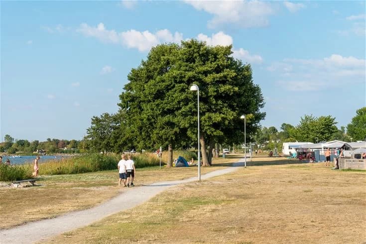 En somrig campingplats med skuggiga områden, perfekt för rekreation och avkoppling. Besökare njuter av picknick och semesteraktiviteter i det offentliga utrymmet.