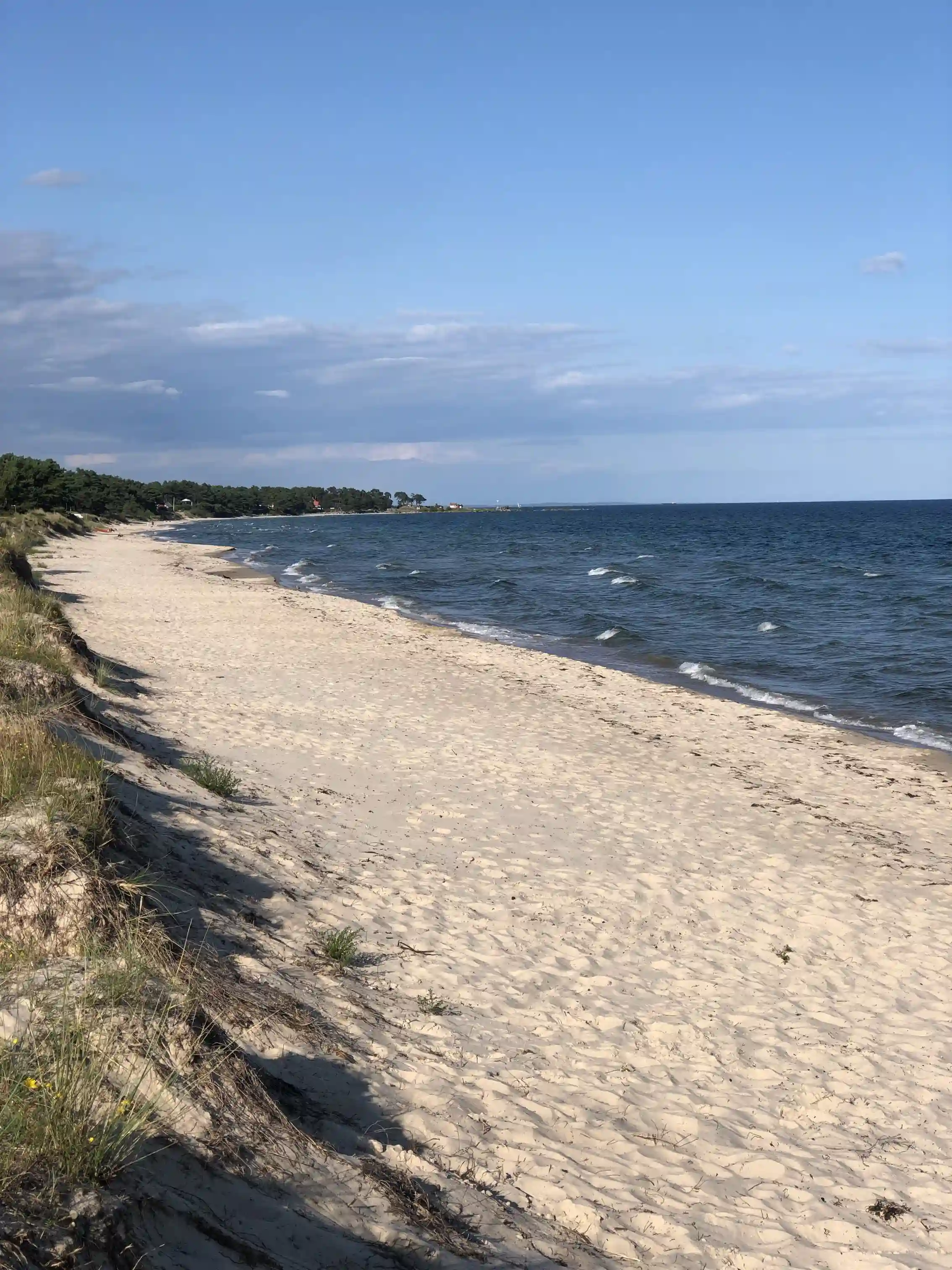 En strand med klarblå himmel och böljande vatten, som sträcker sig ut mot horisonten i Åhus Missionsgård.
