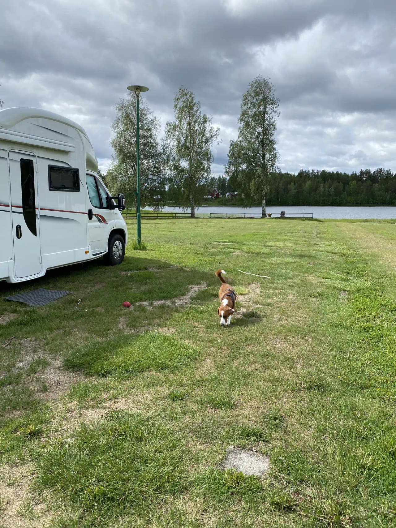 En grön gräsmatta med husvagnar och mobilhem uppställda på Rossön Camping, omgiven av träd i en parkmiljö.