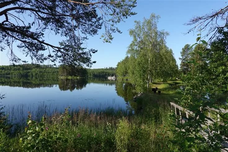 En naturskön vy vid Tröhörninsjö Camping & Stugor, med blått vatten omringat av gröna träd och växter som speglas i sjön.