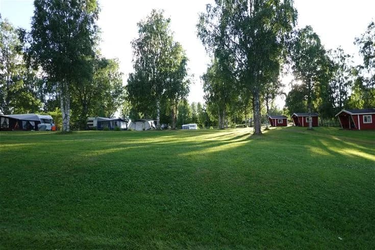 En lummig campingplats med grönska, gräsytor och träd, Trehörningsjö Camping & Stugor.