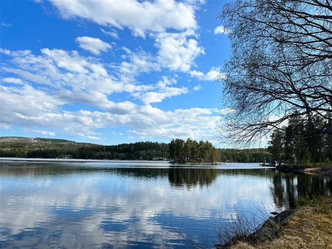 En naturskön vy över sjön vid Trehörningsjö camping & stugor, med klarblå himmel, omgivande träd och vattnets lugna yta som speglar omgivningen.