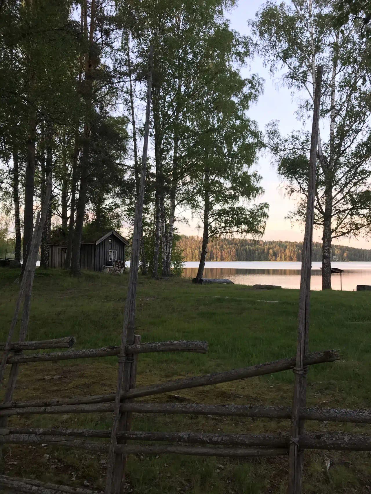 En grönskande hembygdsgård med gräsmatta, skuggiga träd och öppna ytor, omgiven av skog.