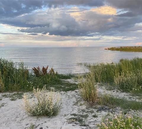 En vidsträckt vy över Wikegårds semesterby och ställplatscamping, med blått hav och himmel i bakgrunden och grönskande växtlighet i förgrunden, på en solig dag med vita moln vid horisonten.