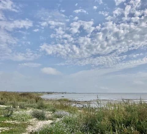 En vidsträckt grässlätt under en klarblå himmel med lätta cumulusmoln, typiskt för landskapet vid Wikegårds semesterby & ställplatscamping.