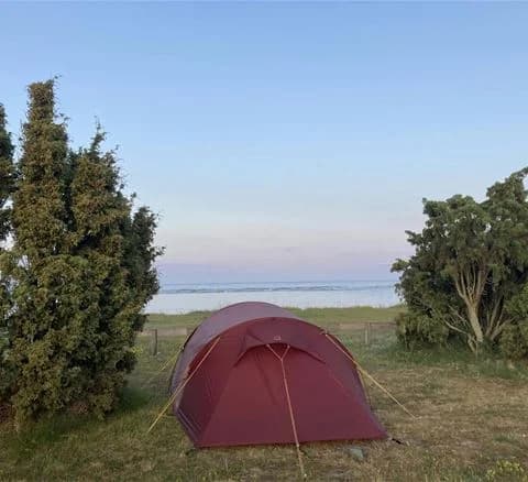En grön äng med ett uppställt tält vid Wikegårds semesterby & ställplatscamping under en klar himmel.