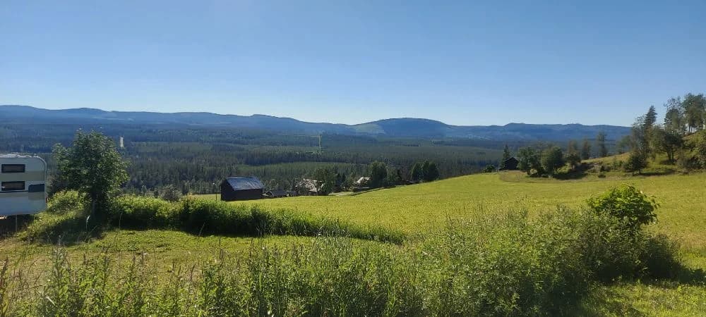 En vidsträckt äng med högt gräs och omgivande skogsbeklädda kullar vid Kvarnsjö Camp, en fridfull plats i en lantlig miljö.