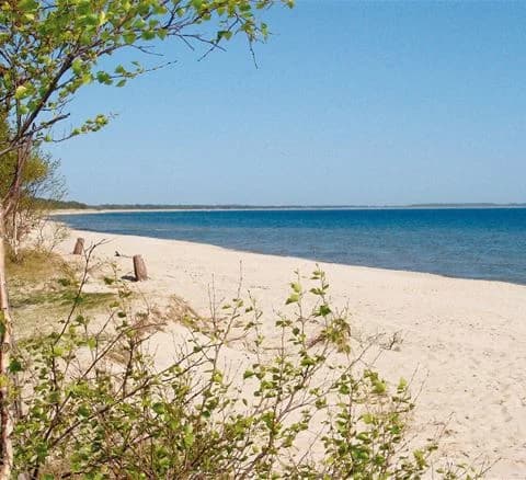 Ystad Camping: Fridfullt läge i Sandskogen, nära Ystads kust, året runt äventyr och avkoppling för hela familjen. 