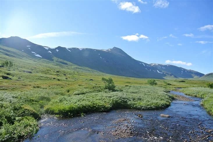 En vidsträckt och naturskön vy över bergskedjan på Camp Kittelfjäll, med gräsbevuxna kullar och öppna landskap som sträcker sig mot horisonten under en klar himmel.