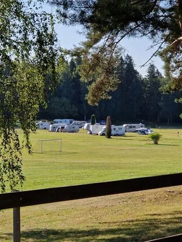 En grönskande campingplats med gräsytor och träd. En lyxig bil står parkerad i skuggan under ett träd.