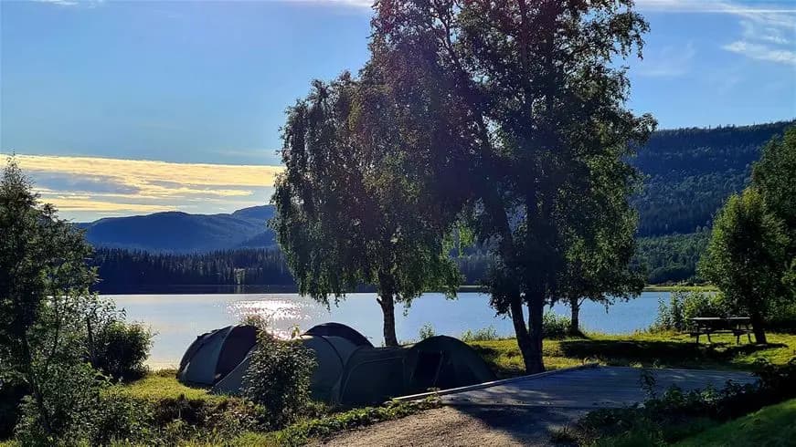 En vy över Jormvattnets fiskecamp med tält uppställda vid sjökanten, omgiven av en lugn sjö och grönskande natur, perfekt för camping och fiskeupplevelser.
