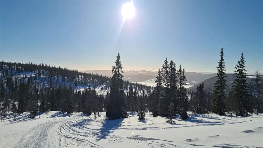 En vinterlandskap med snötäckta berg och täta granskogar vid Jormvattnets Fiskecamp. Klar himmel ovanför ger en fridfull känsla över det natursköna området.